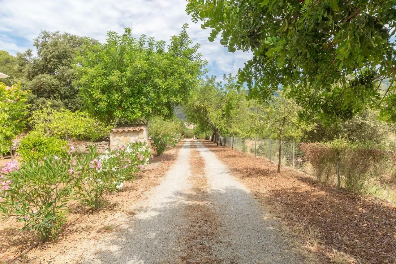 Holiday home Esporles Mallorca - 293698